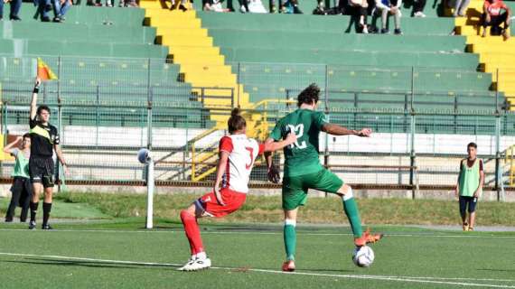 L'Avellino travolge il Cassino nella ripresa: 3-0 firmato Tribuzzi, Sforzini e Carbonelli