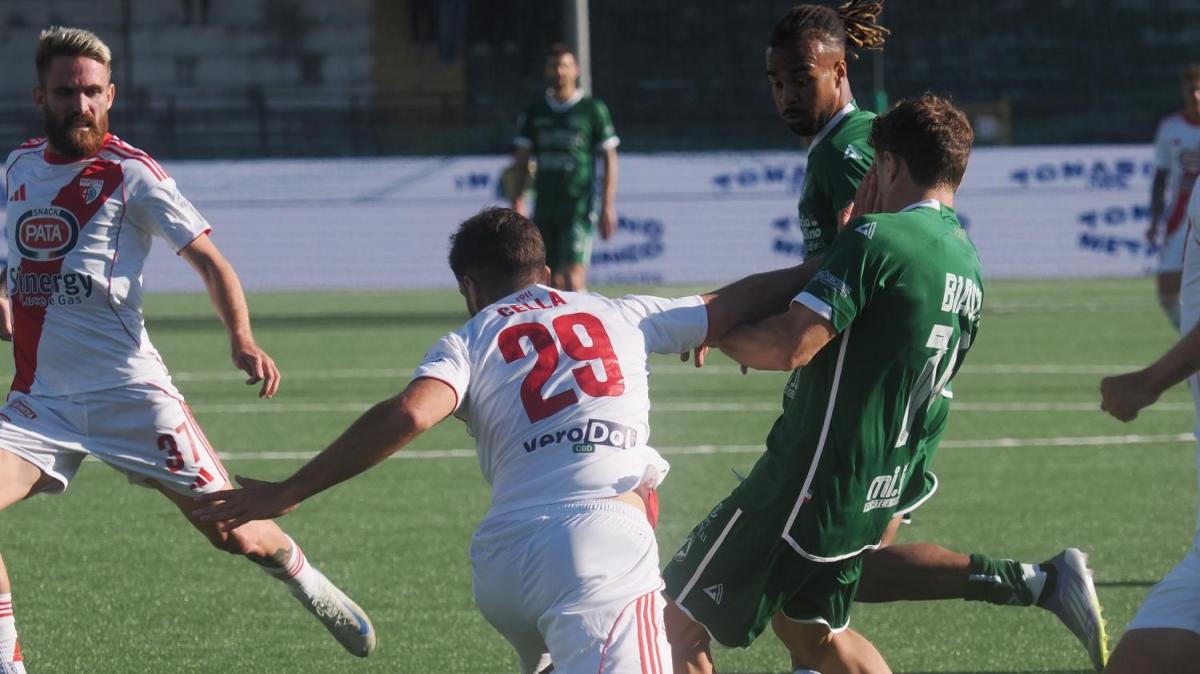 Avellino-Spezia, i precedenti: irpini a caccia del secondo successo di fila sui liguri