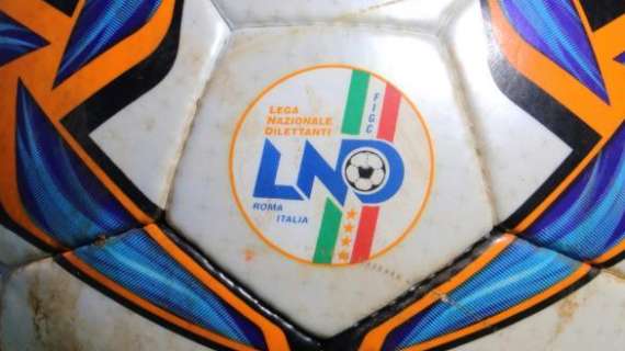 Comunicato congiunto di LND, Lega Pro, AIC e AIA: "Il Coni ponga fine all'agire di Fabbricini"