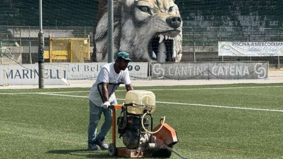 Nargi: "Partiti i lavori al Partenio, si comincia sostituendo il tappeto verde"