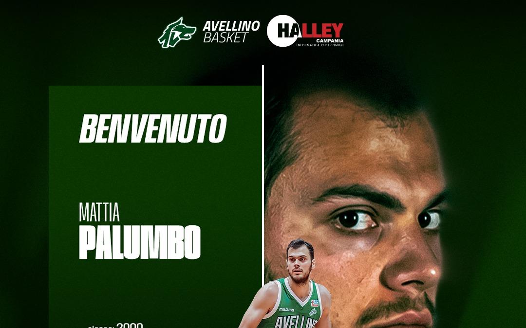 UFFICIALE - Avellino Basket, arriva Mattia Palumbo: "Potremo toglierci delle soddisfazioni"