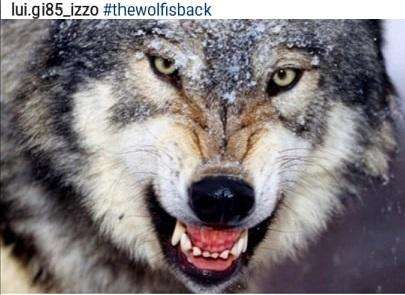 Avellino, il presidente Izzo suona la carica: "The wolf is back"