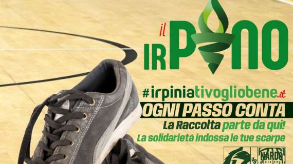 Avellino Basket, per la gara contro Nardò si inaugurerà il viaggio de 'Il Pino Irpino'