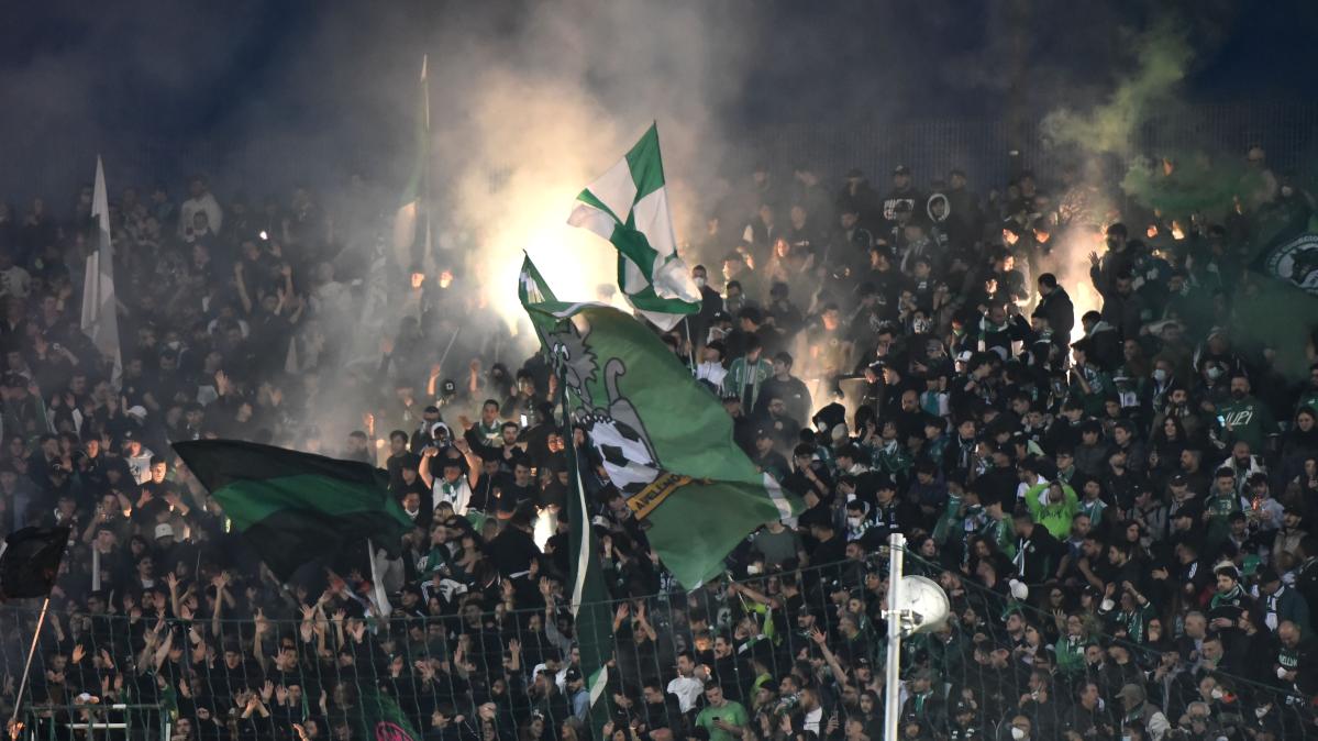 Reggiana-Avellino, già superata quota mille nel settore ospiti 