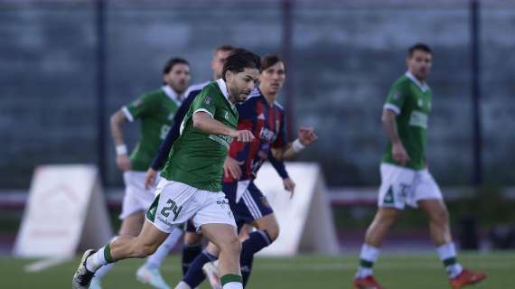 Avellino-Potenza 1-0, le pagelle: D'Ausilio e Russo cambiano volto ai lupi, Sounas incommensurabile, Iannarilli decisivo