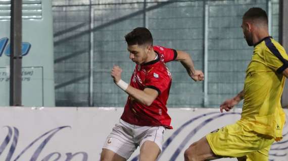 Botta e risposta Avellino-Bari: Favilli vicino ai lupi, i pugliesi mettono la freccia per Pandolfi