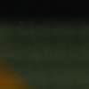 Immagine news 7