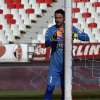 Immagine news 10