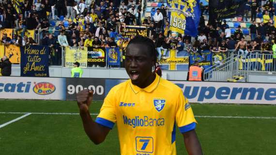 Dalla rottura del crociato alla vittoria in Conference: cinque cose da sapere su Darboe