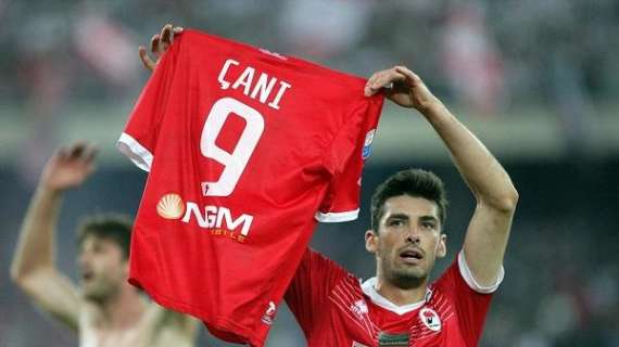 Bari-Novara, ultima vittoria firmata Cani. I numeri del match playoff...