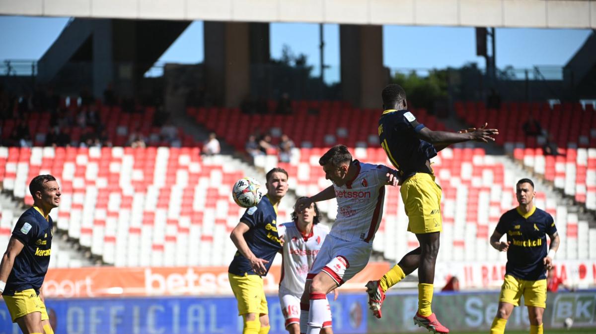 Cerofolini-Rao-Moncini, l'oro di Bari. Ecco i numeri dei tre protagonisti 