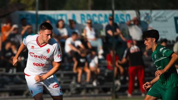 Uscite: tutti i calciatori in bilico. Scheidler e non solo. C'è una squadra sul mercato