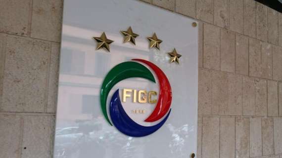 Figc, ufficializzata la data per le decisioni sui ripescaggi in Serie B e C