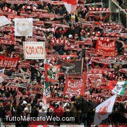 Rovesci senesi