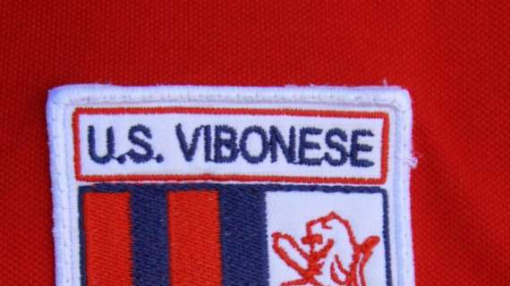 Dg Vibonese: "Il Bari continua a dire che deve giocare in B, ma sul campo..."