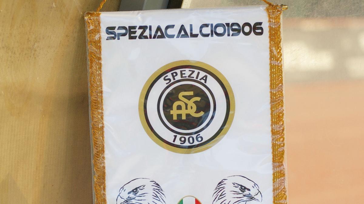 Spezia-Bari e quegli attimi di tensione. Tifoso caduto, l'aggiornamento