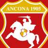 Ancona, Moretti: "Strong Fiorenzuola, we aim to make the leap in quality"