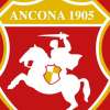 Ancona, rinnovato l'accordo di affiliazione con l'ASD Corridonia