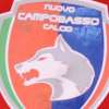 Immagine news 17