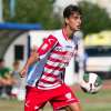 Immagine news 30