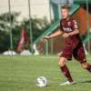 Immagine news 2