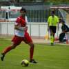 Immagine news 5