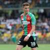 Immagine news 14