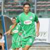Immagine news 6