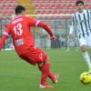 Immagine news 1