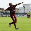 Immagine news 2