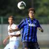 Immagine news 6