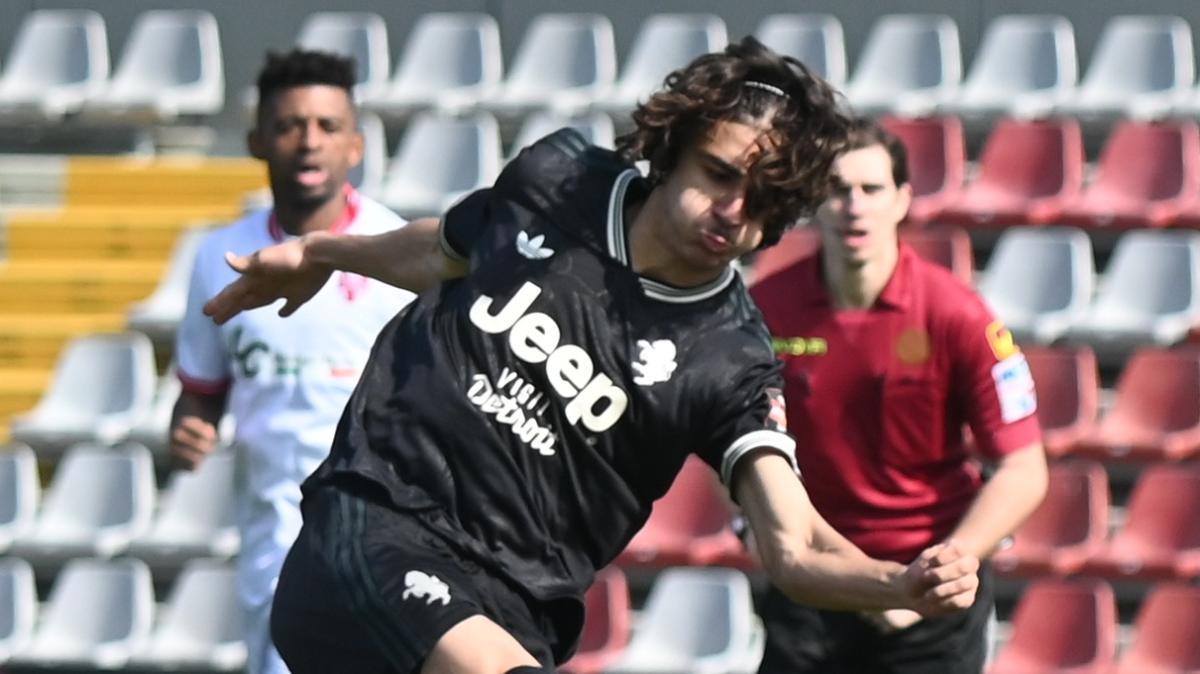 Immagine strip Primo piano n.1