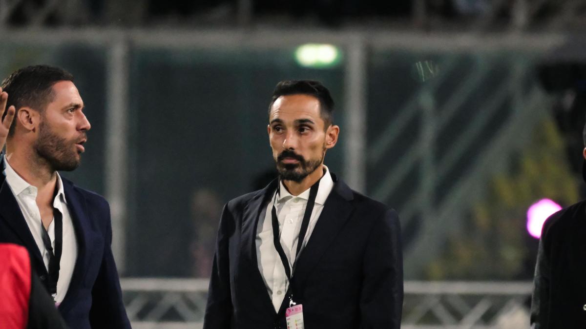 Immagine strip Primo piano n.3