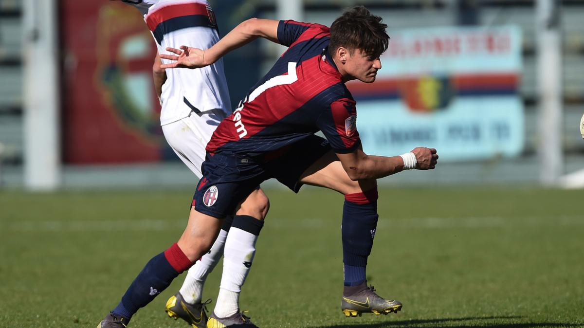 Immagine strip Primo piano n.2