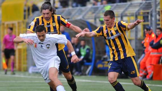 Juve Stabia, Molinari: "Conquistiamo la salvezza, poi cercheremo di rompere le scatole a tutti"