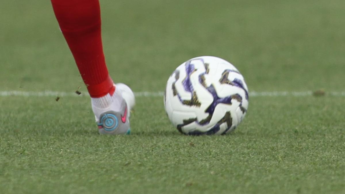 Immagine strip Primo piano n.1