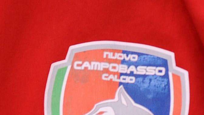 ESCLUSIVA TLP - Campobasso, spunta un nuovo nome per la panchina