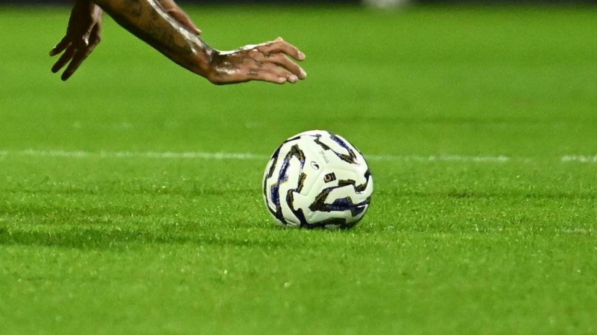 Immagine strip Primo piano n.1