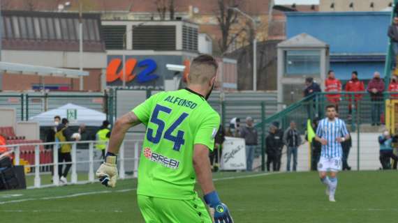 V. Verona, Alfonso: "Questa squadra ha grande potenziale"