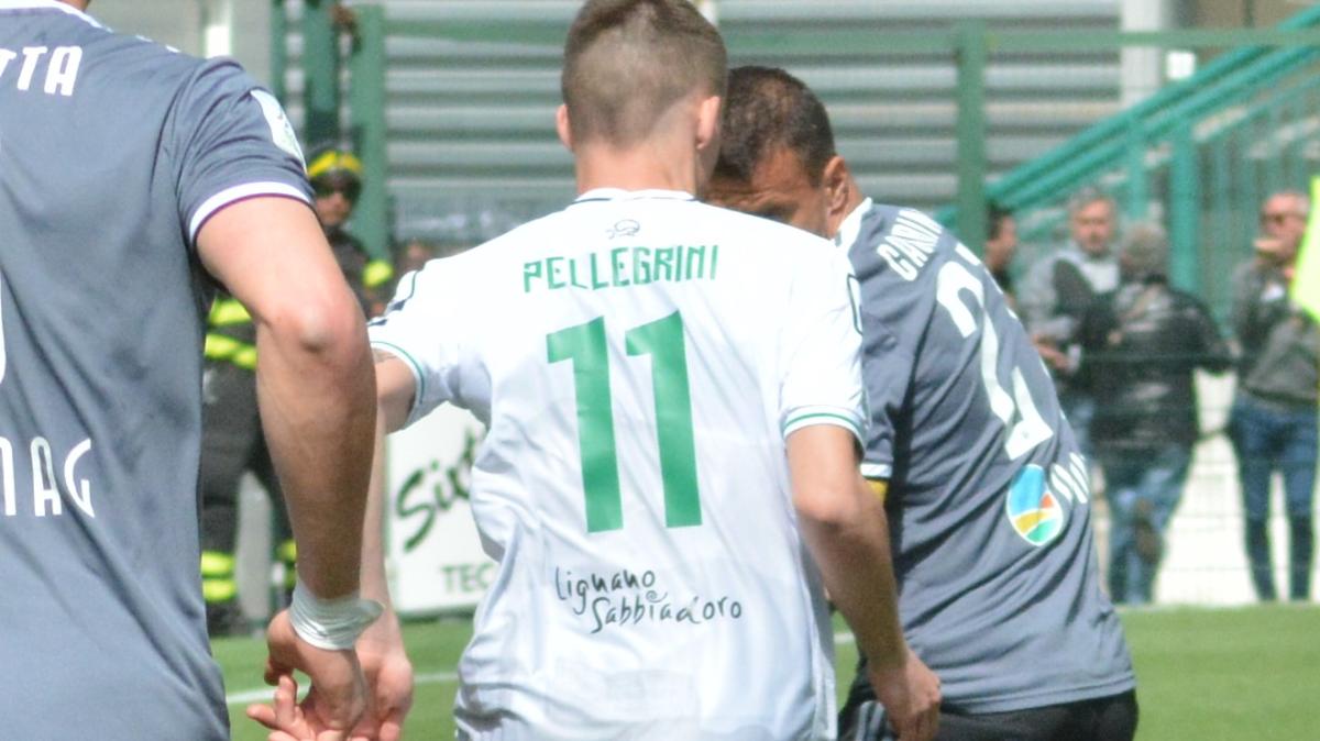 Immagine strip Primo piano n.2