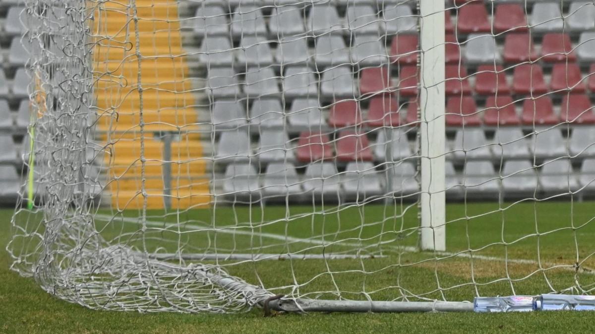 Immagine strip Primo piano n.3