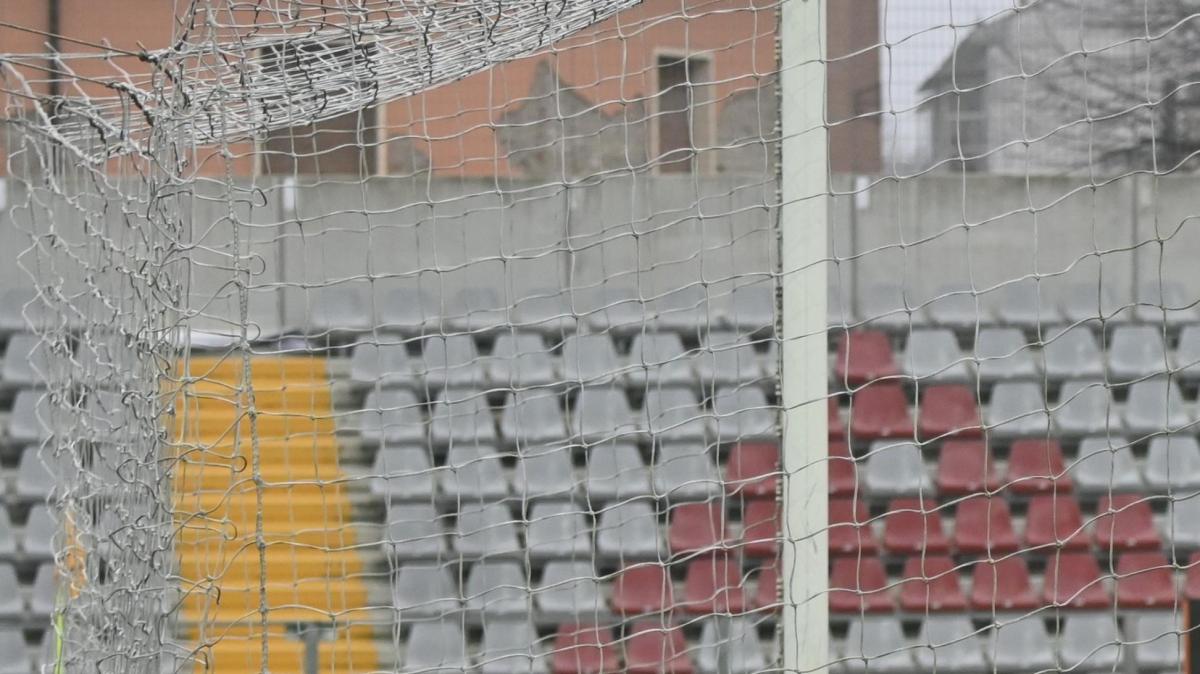 Immagine strip Primo piano n.2