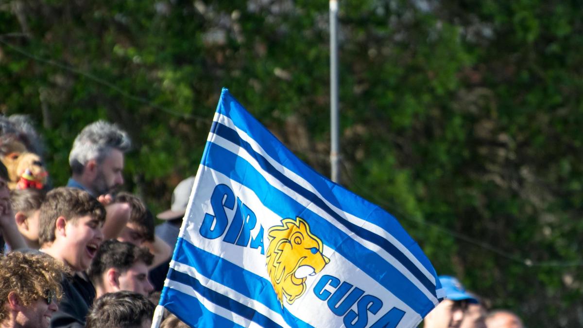 Immagine strip Primo piano n.2