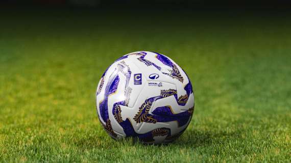 TOP NEWS ORE 13 - Benassai al Vicenza, Tonin verso la Salernitana