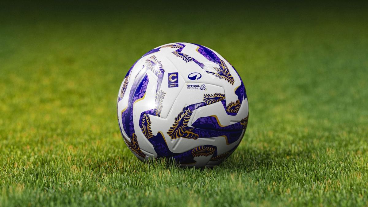 Immagine strip Primo piano n.2