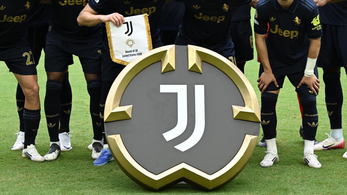 Immagine strip Primo piano n.2