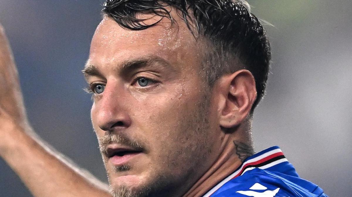 Immagine strip Primo piano n.2