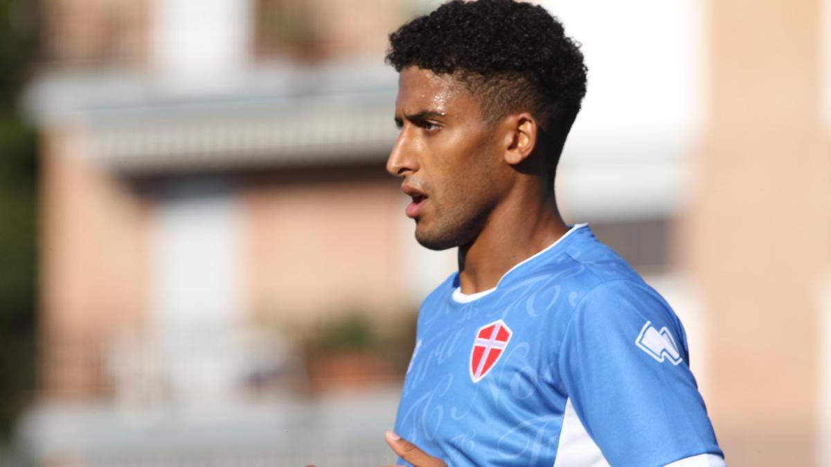 Immagine strip Primo piano n.2