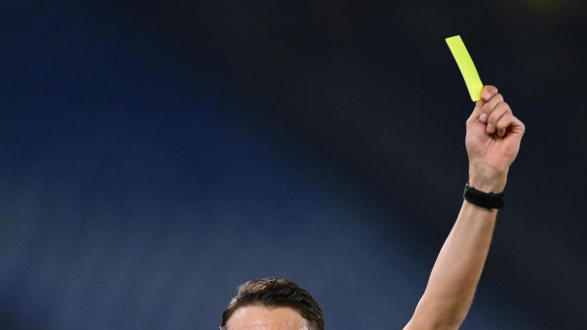 Immagine strip Primo piano n.2