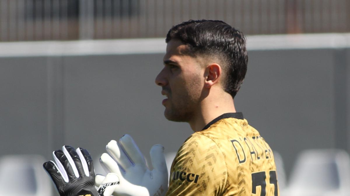 Ternana, D'Alterio: "Vuoto enorme dentro, la passione non fallisce"